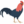 đá gà abc8